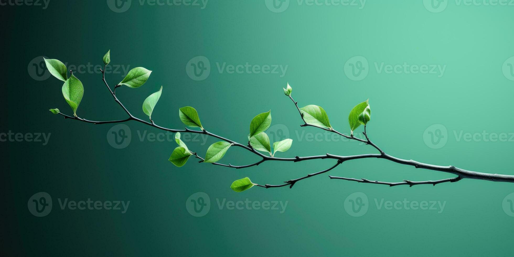 Branch with green leaves on green background. Minimalism. space for text. Generative AI photo