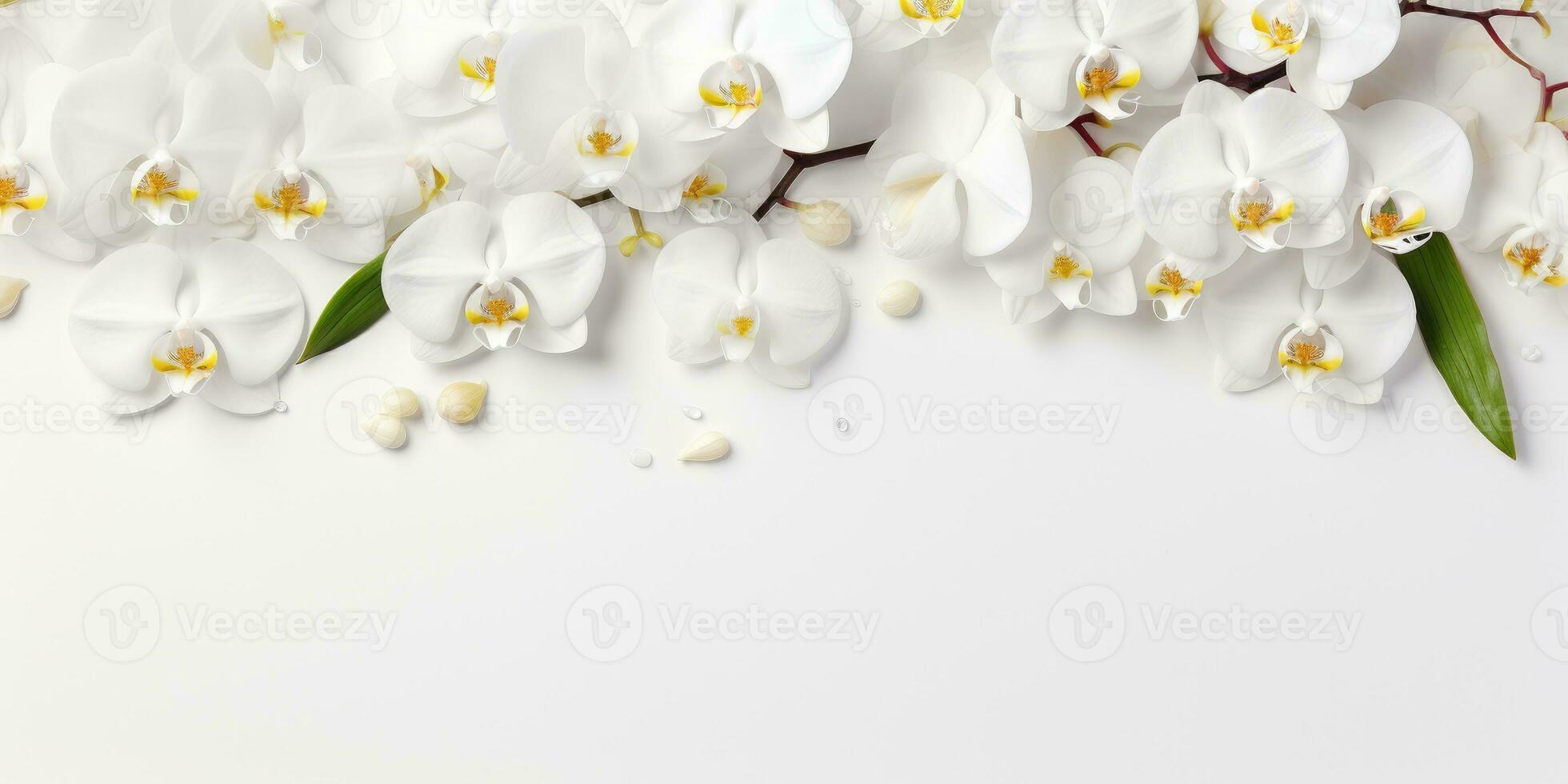 flowers on a white orchid branch on white background, space for text or product. Generative AI photo