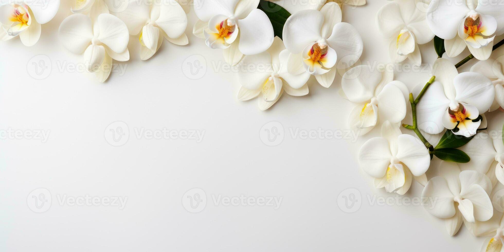 branch of a white orchid on white background, top view, space for text, Generative AI photo