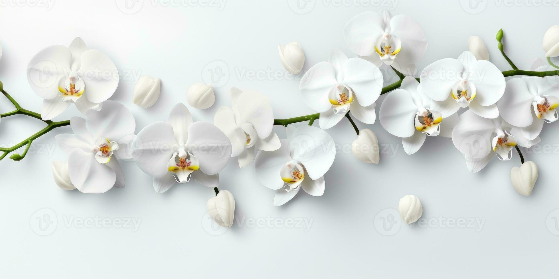 flowers on a white orchid branch on white background, space for text or product. Generative AI photo