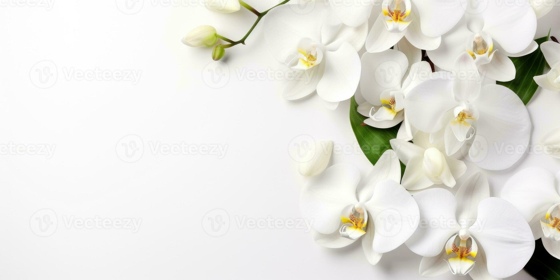 flowers on a white orchid branch on white background, space for text or product. Generative AI photo