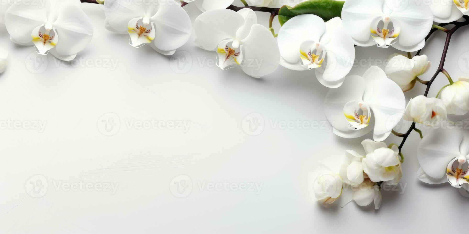 flowers on a white orchid branch on white background, space for text or product. Generative AI photo