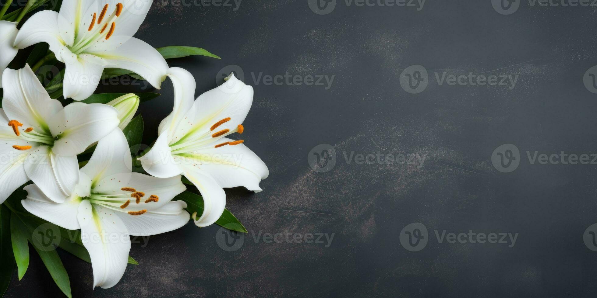 White lilies on black background, top view, space for text or your product. Generative AI photo