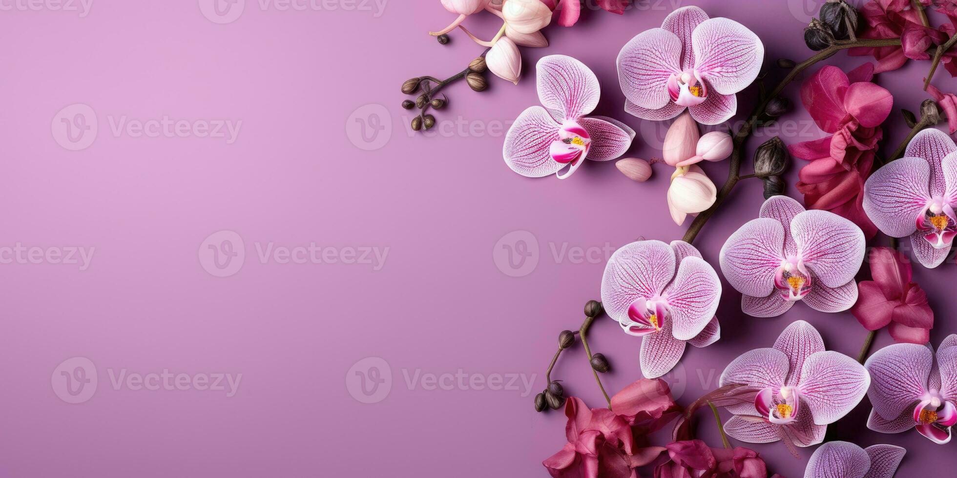 Pink orchids on a purple background, top view, space for text