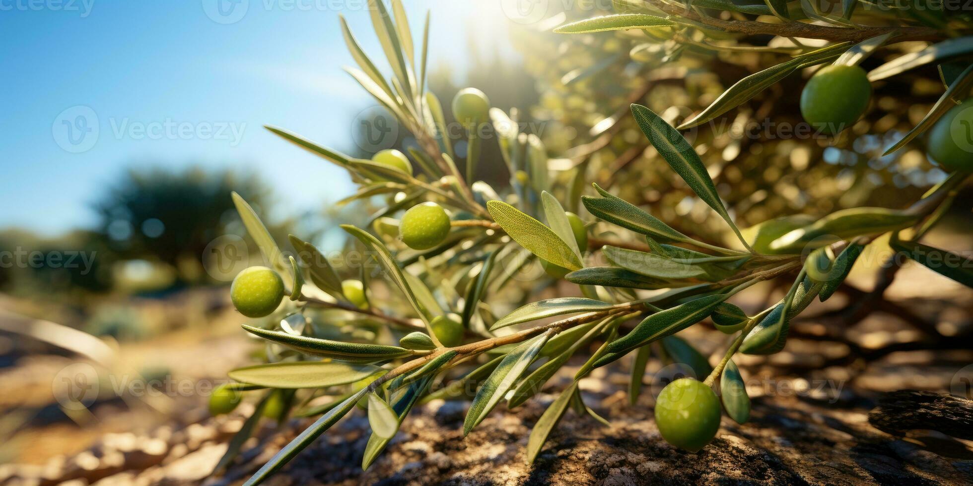 verde maduro aceitunas en el rama árbol. generativo ai foto