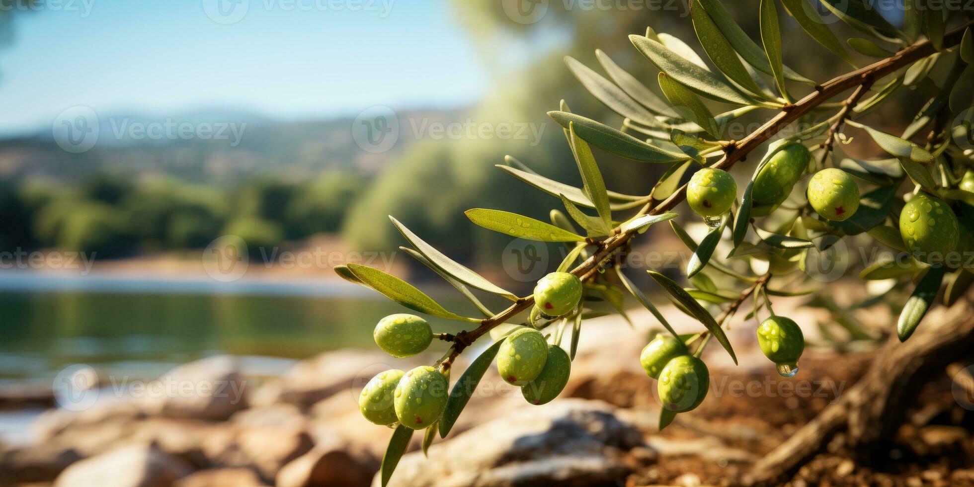 verde maduro aceitunas en el rama árbol. generativo ai foto