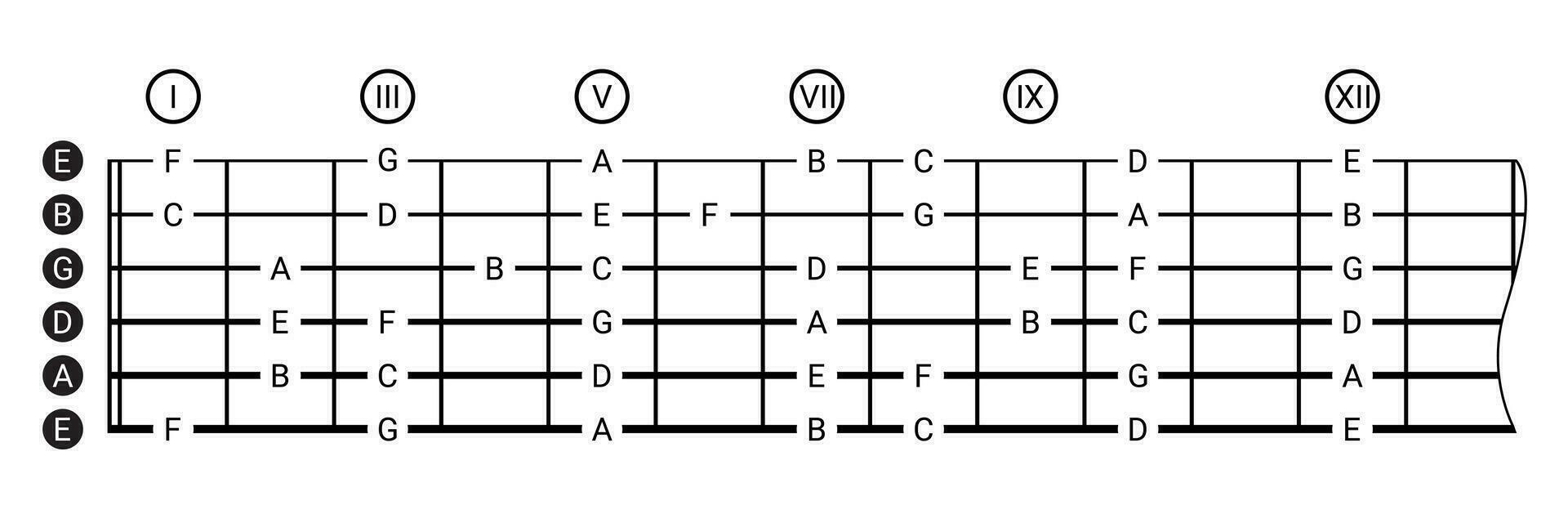 Six-string guitar tablature, visual aid vector