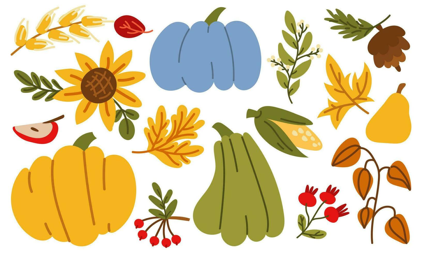 The autumn harvest has begun. Vector collection of vegetables, fruits and berries of the farm with pumpkins, sunflowers, apples, corn, pears, physalis, cranberries. Funny autumn illustration