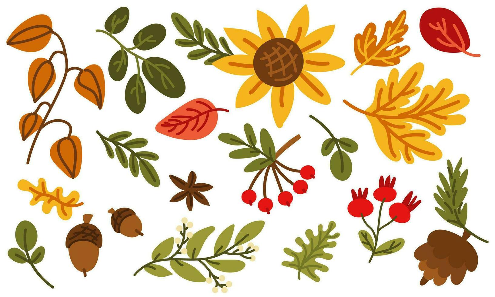 Autumn collection of vector illustrations drawn by hand. A set of cliparts with cozy attributes of the autumn season Autumn accessories, dried leaves, harvest, forest plants Decorative design elements