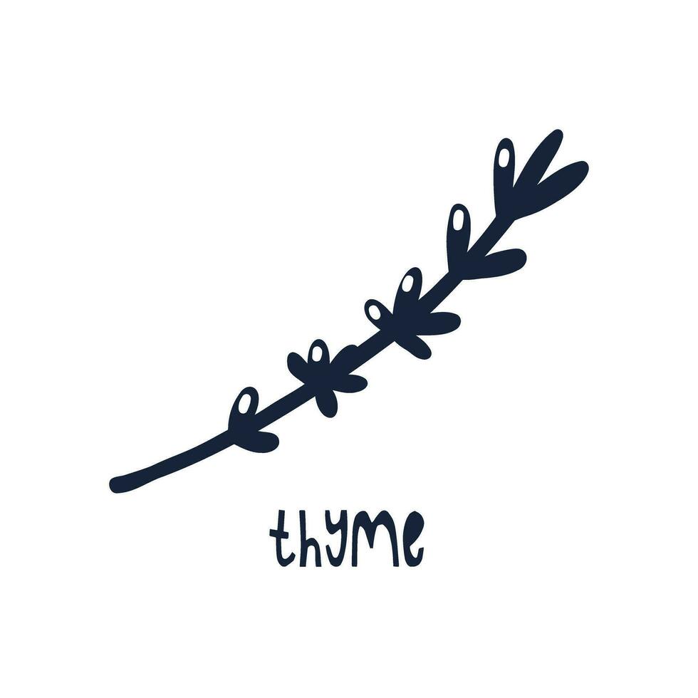 Black and White label spice herb thyme vector