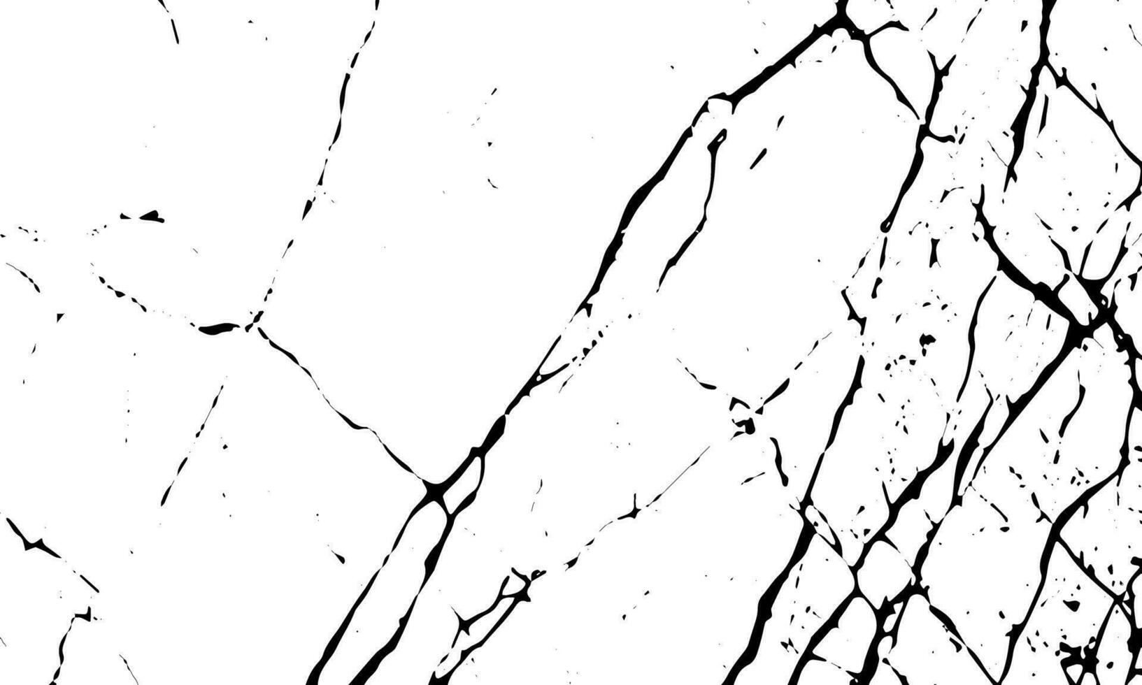 black and white marble texture background vector