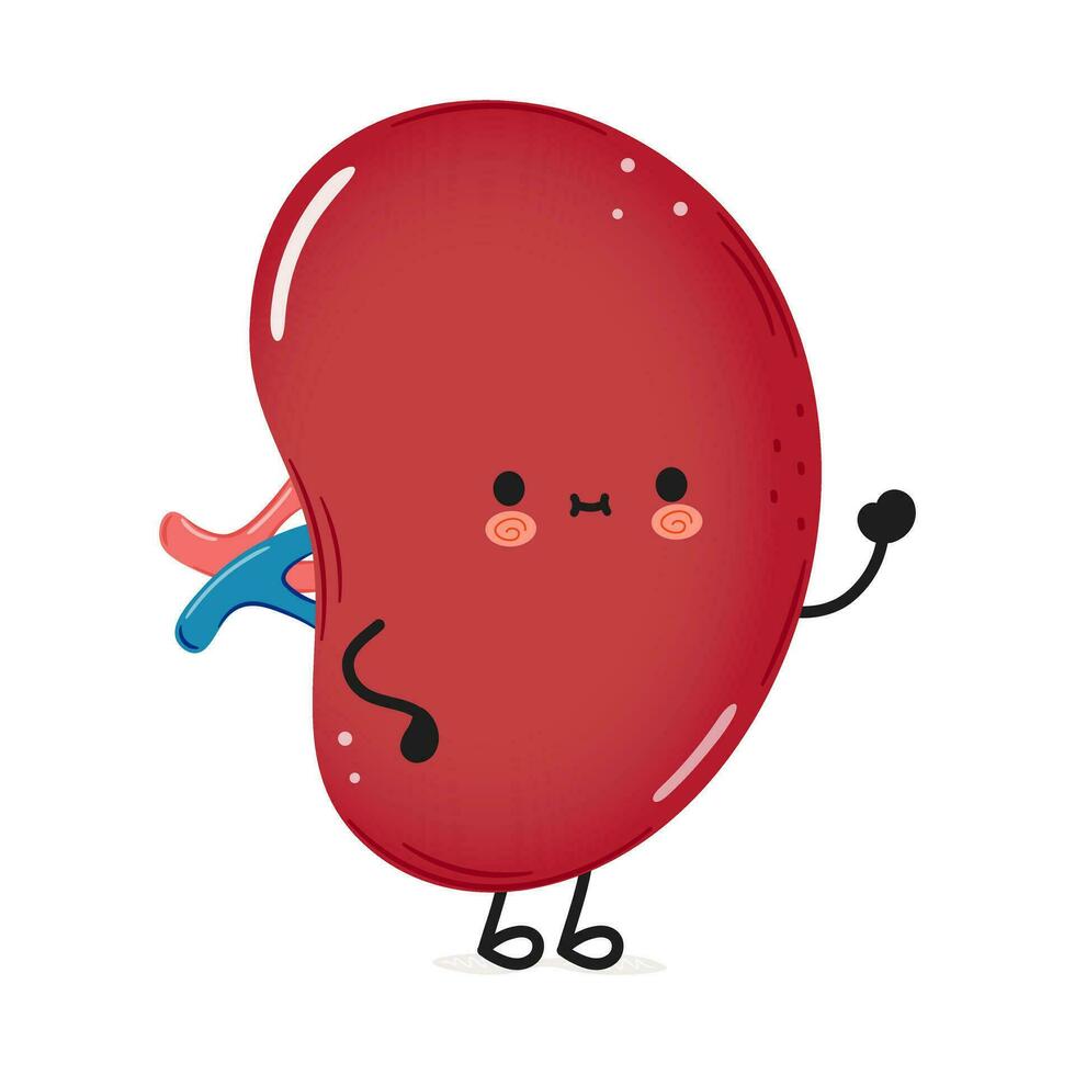 Spleen organ waving hand character vector