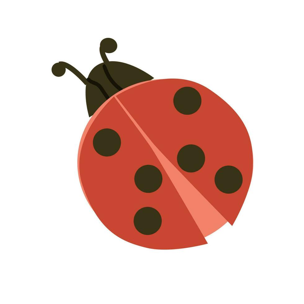 small beautiful insect, red with spots lady bug vector