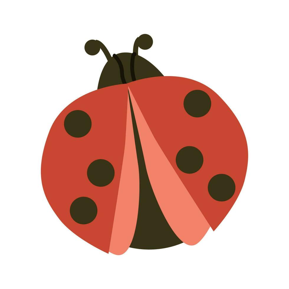 Cute ladybug or ladybird on red and black color vector