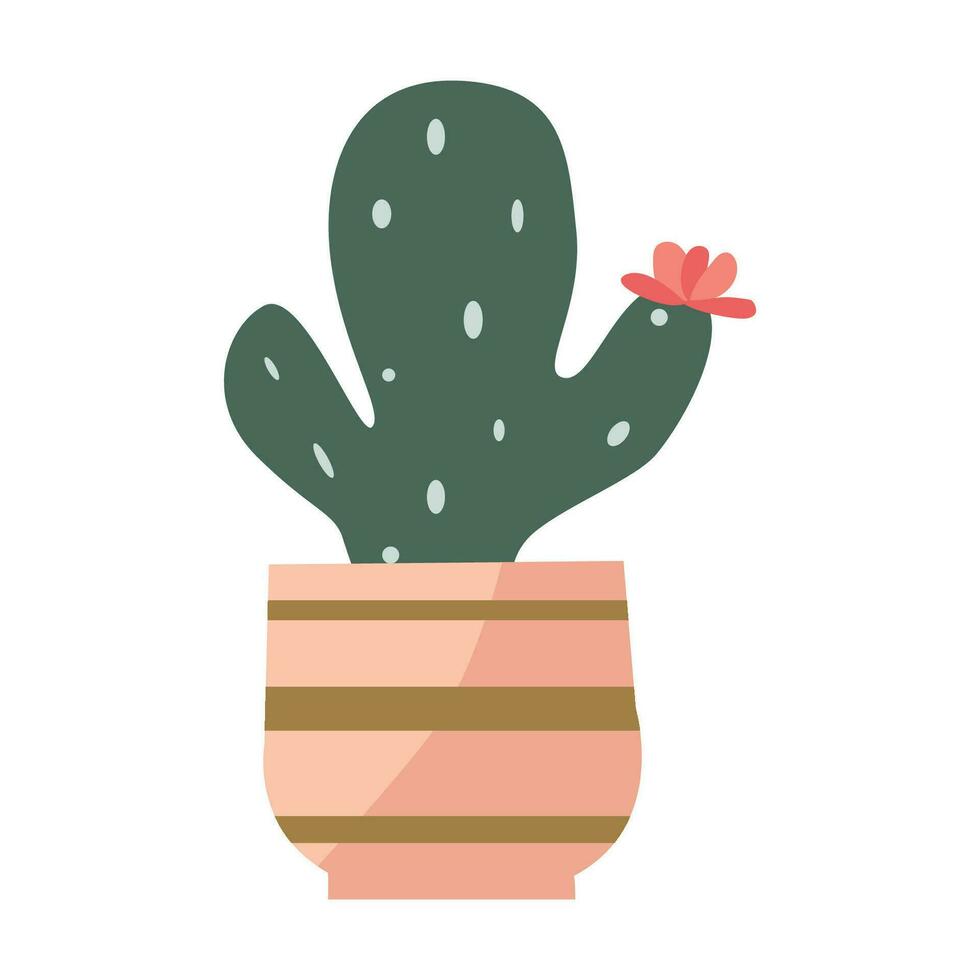 flat blossom succulent cacti in flower pot vector