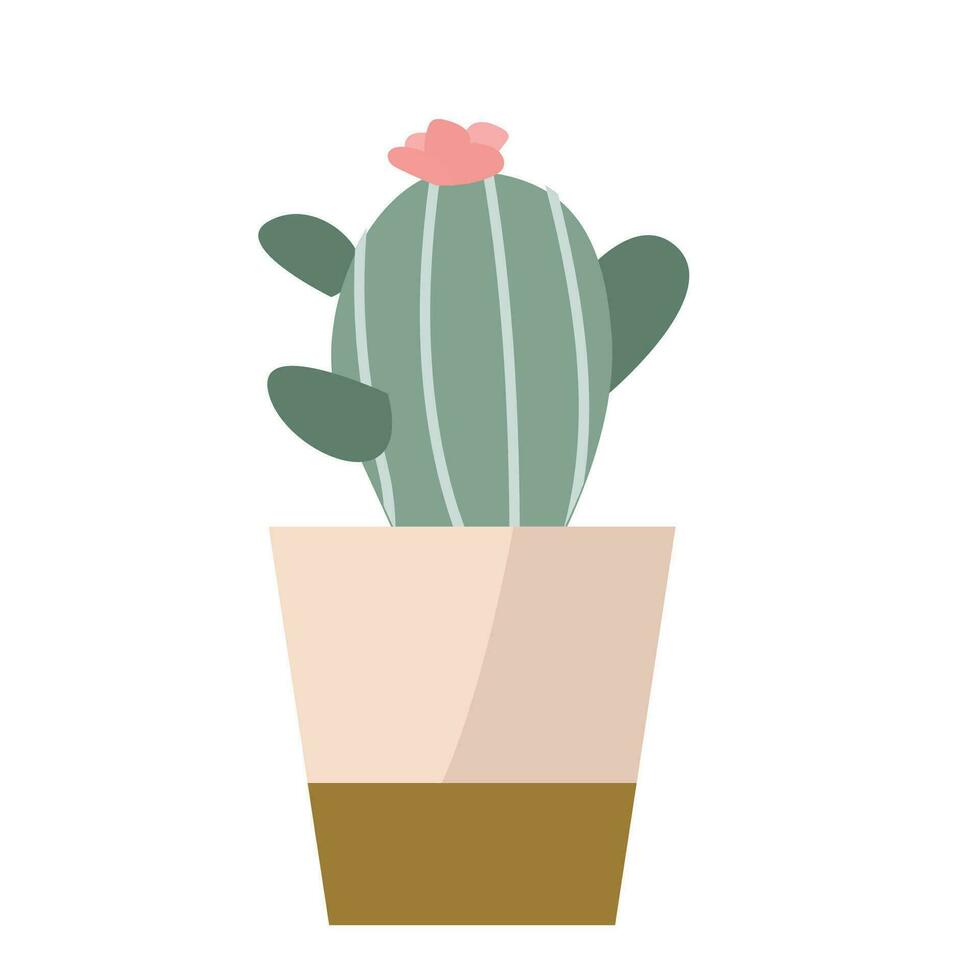 blossom cactus in ceramic flower pot vector