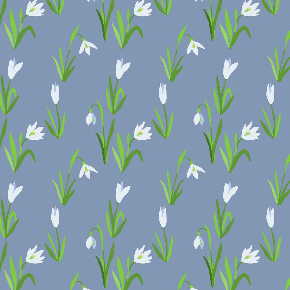 Botanical seamless pattern of snowdrops vector