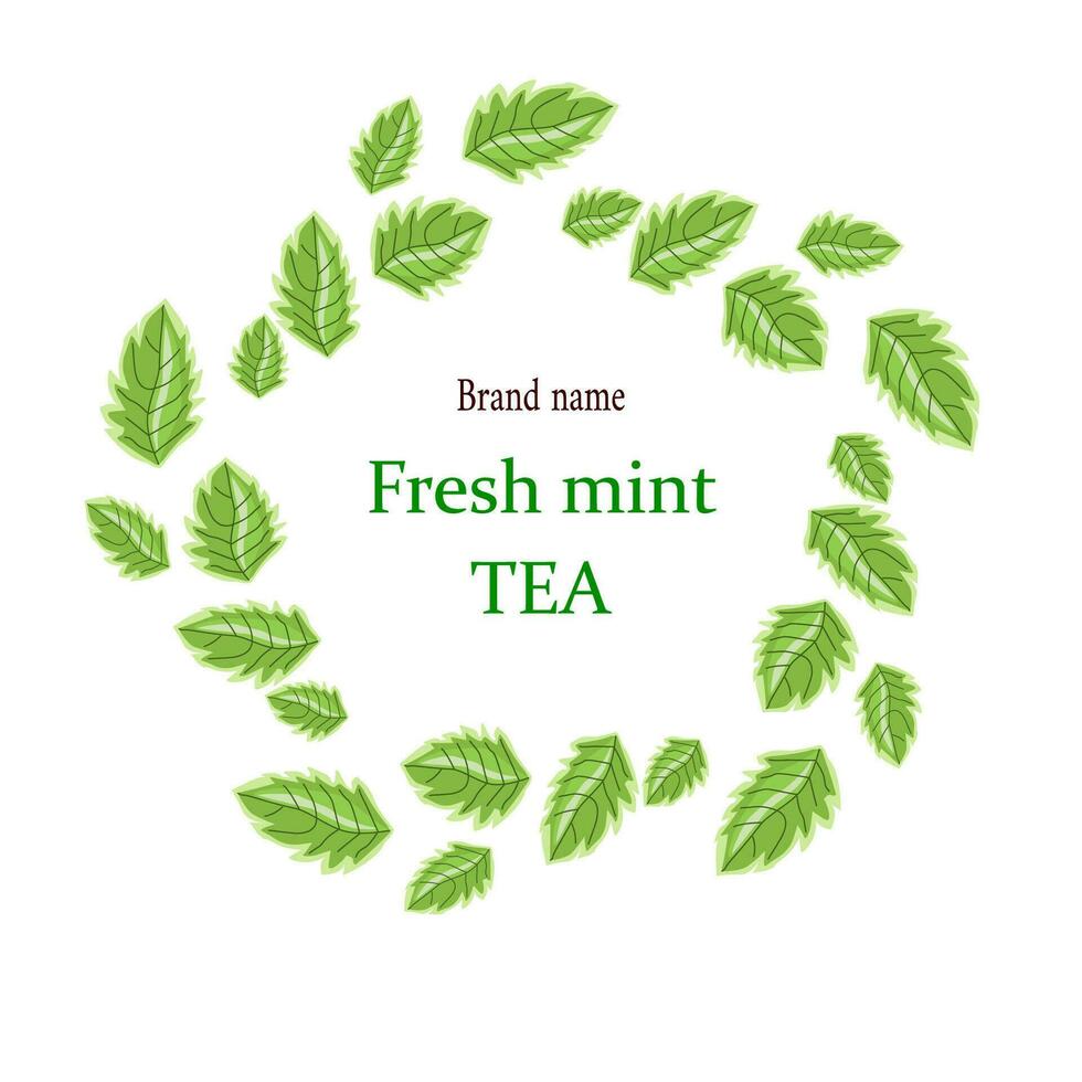 flat style mint tea banner on white background vector