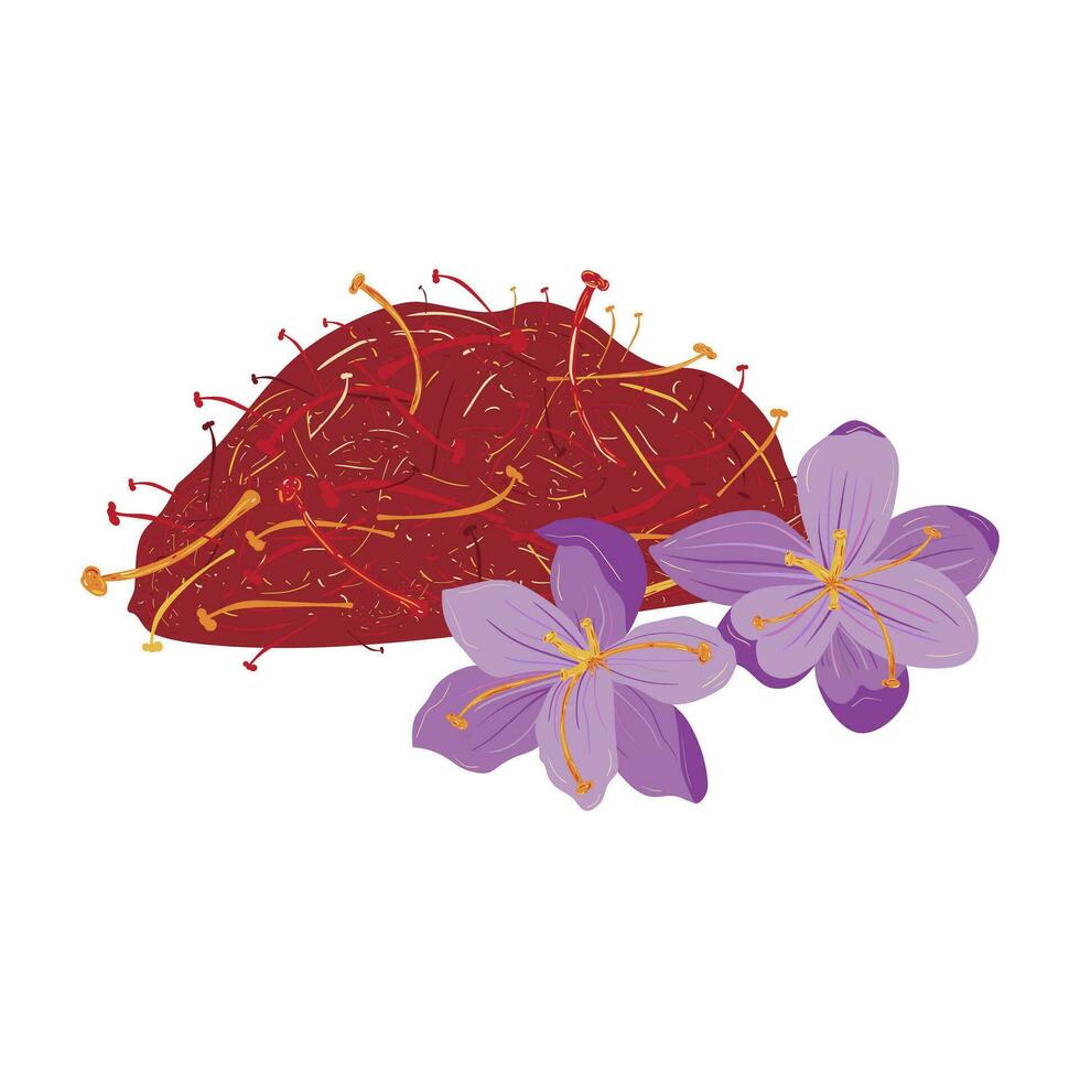 Flat illustration of a pile of saffron stamens with two crocus flowers. Saffron stamens and flowers. Saffron spice. Isolated on white background vector
