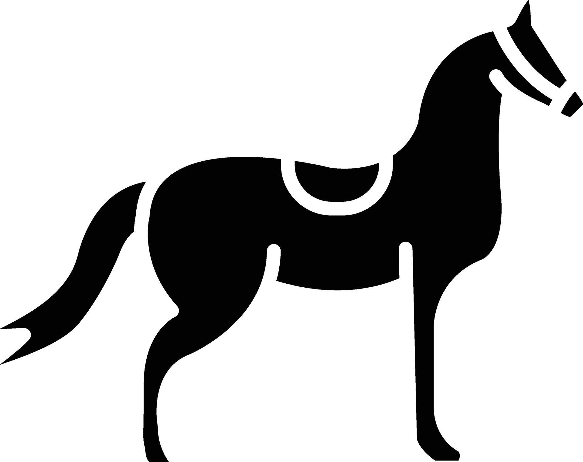 Ride Vector Icon 30332246 Vector Art at Vecteezy