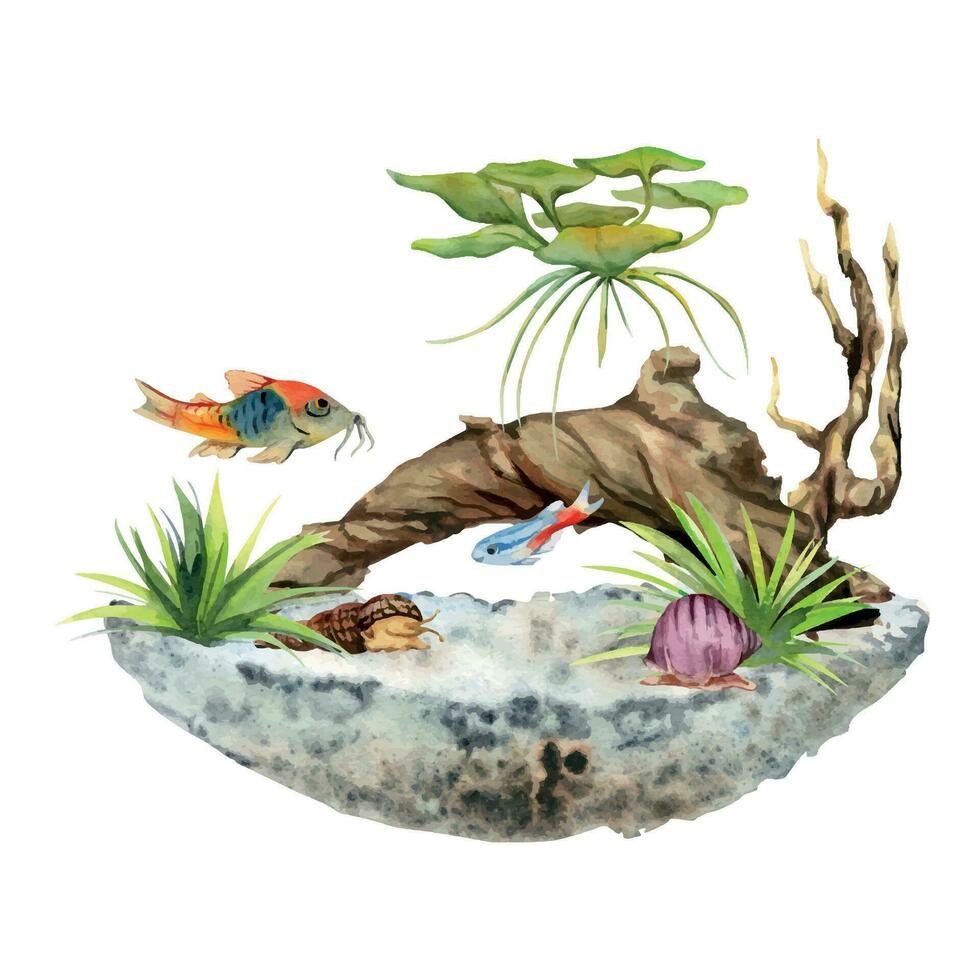 Hand drawn watercolor aquarium fish, algae, sealife with bog wood. Marine exotic underwater illustration. Isolated on white background. Design for shops, brochure, print, card, wall art, textile. vector