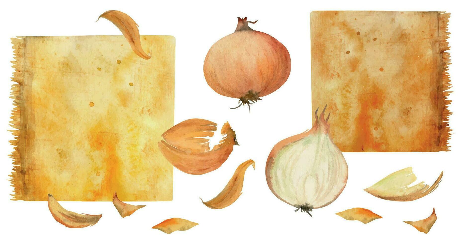 Hand drawn watercolor brown onion coloring natural plant dye 