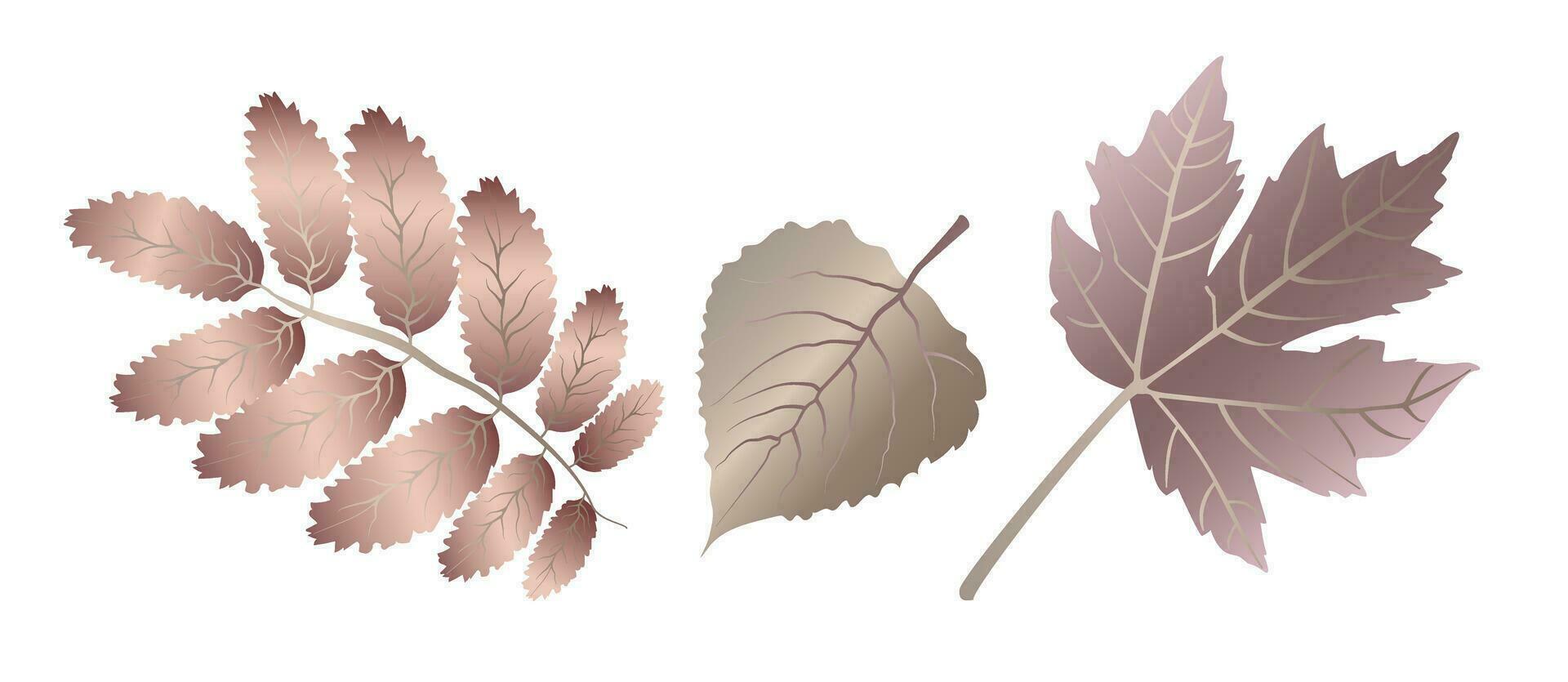 Autumn detailed veined maple and walnut leaves, leaf vein, in unusual metallic colors on a white background. vector