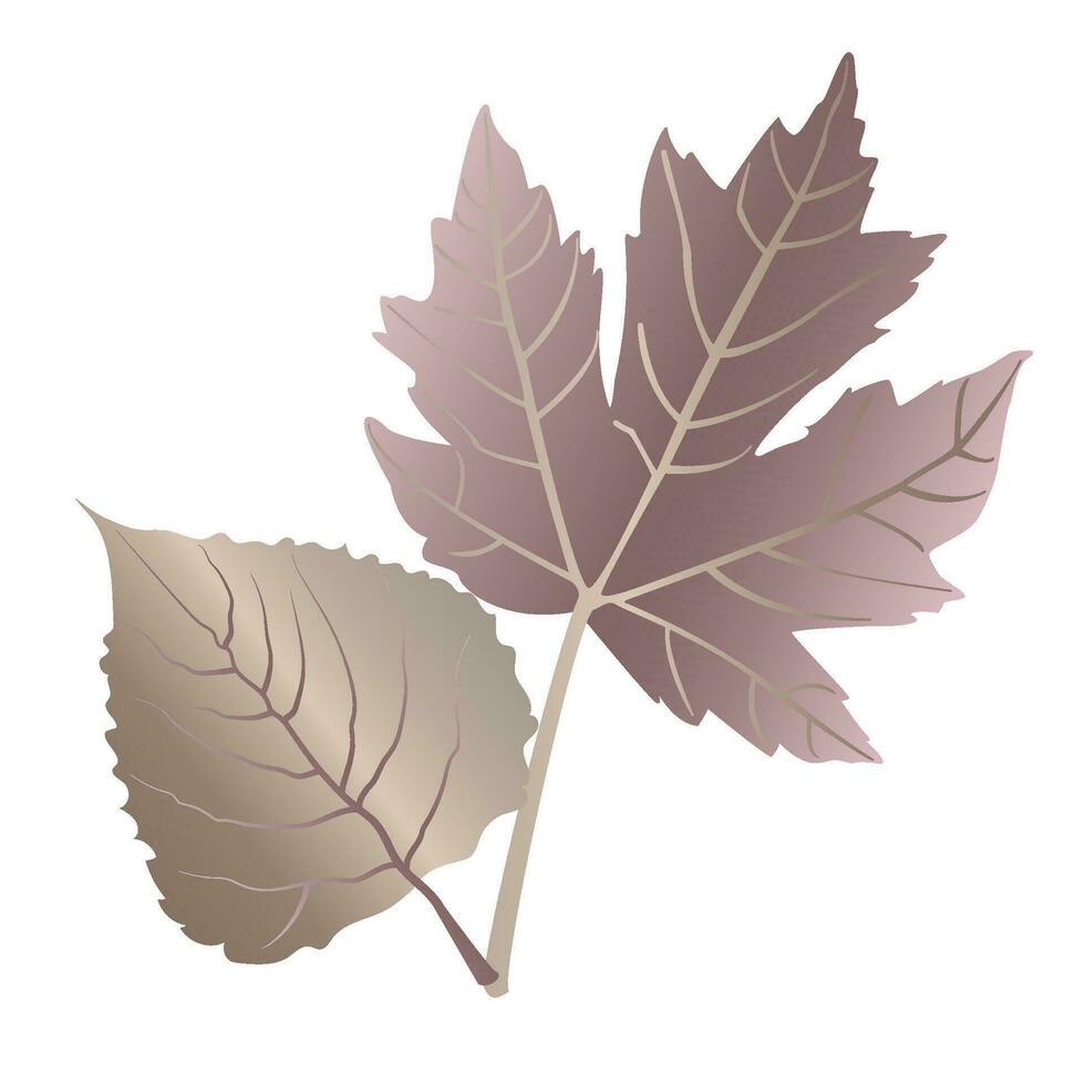 Autumn detailed veined maple and walnut leaves, leaf vein, in unusual metallic colors on a white background. vector