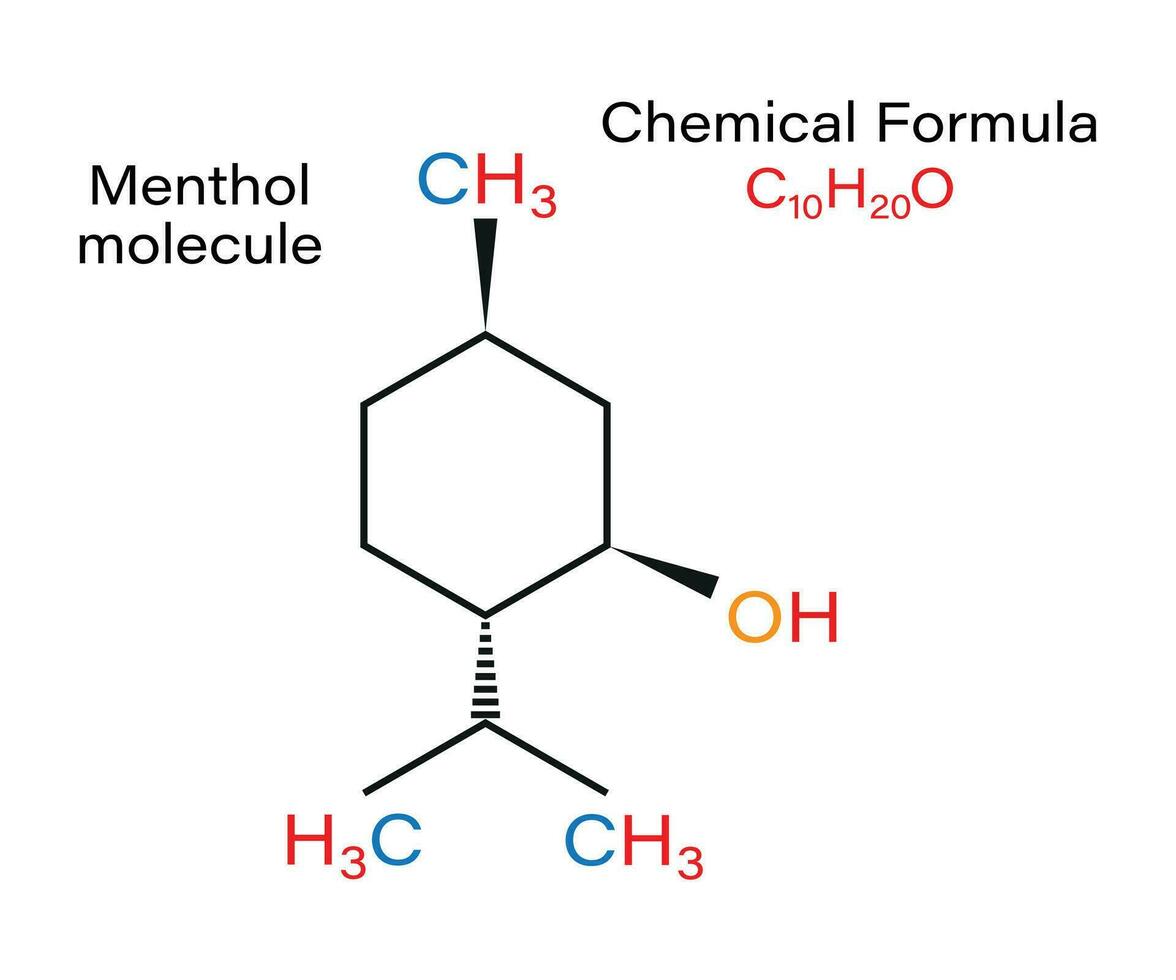 Chemical formula Menthol molecule peppermint, corn mints etc. structure skeletal vector illustration.