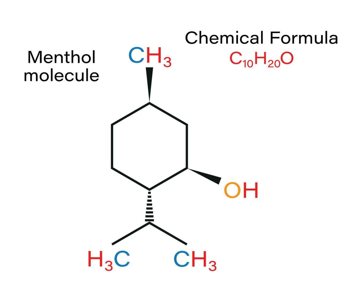 químico fórmula mentol molécula menta, maíz mentas etc. estructura esquelético vector ilustración.