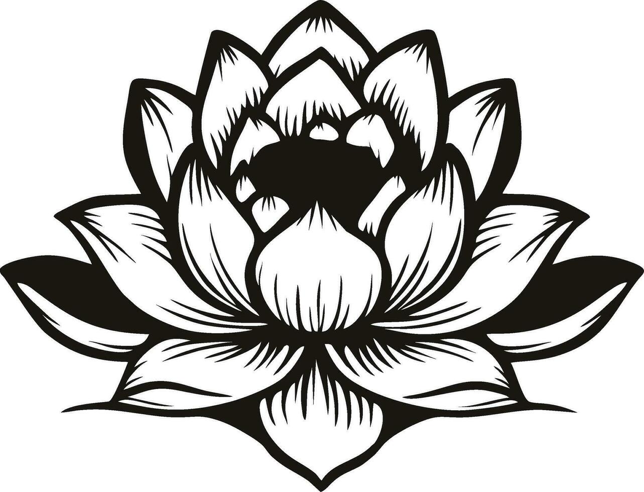 Lotus Vector Stock Illustrations. Lotus Vector Stock image, Vectors and Clipart