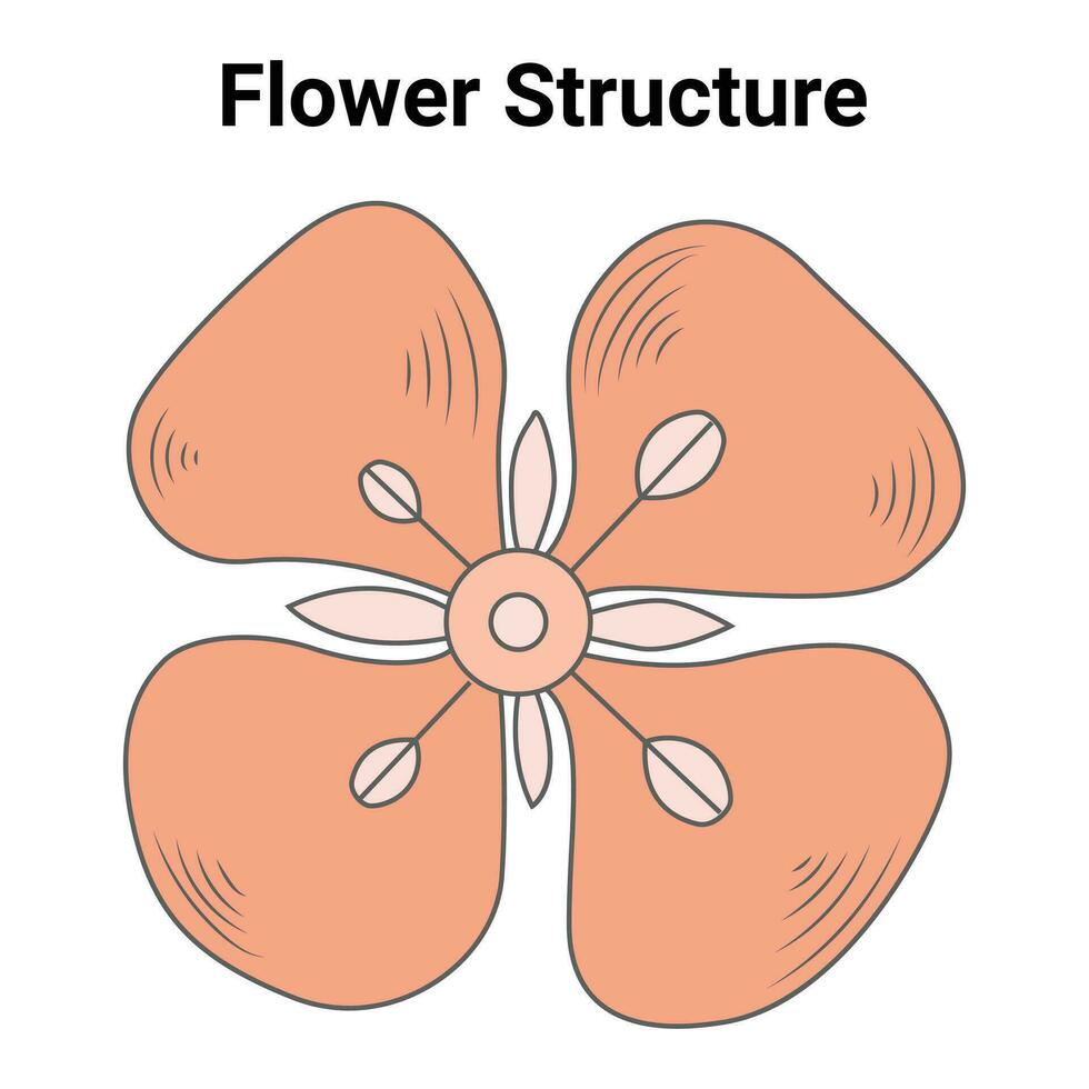 Flower Structure Design Vector Illustration