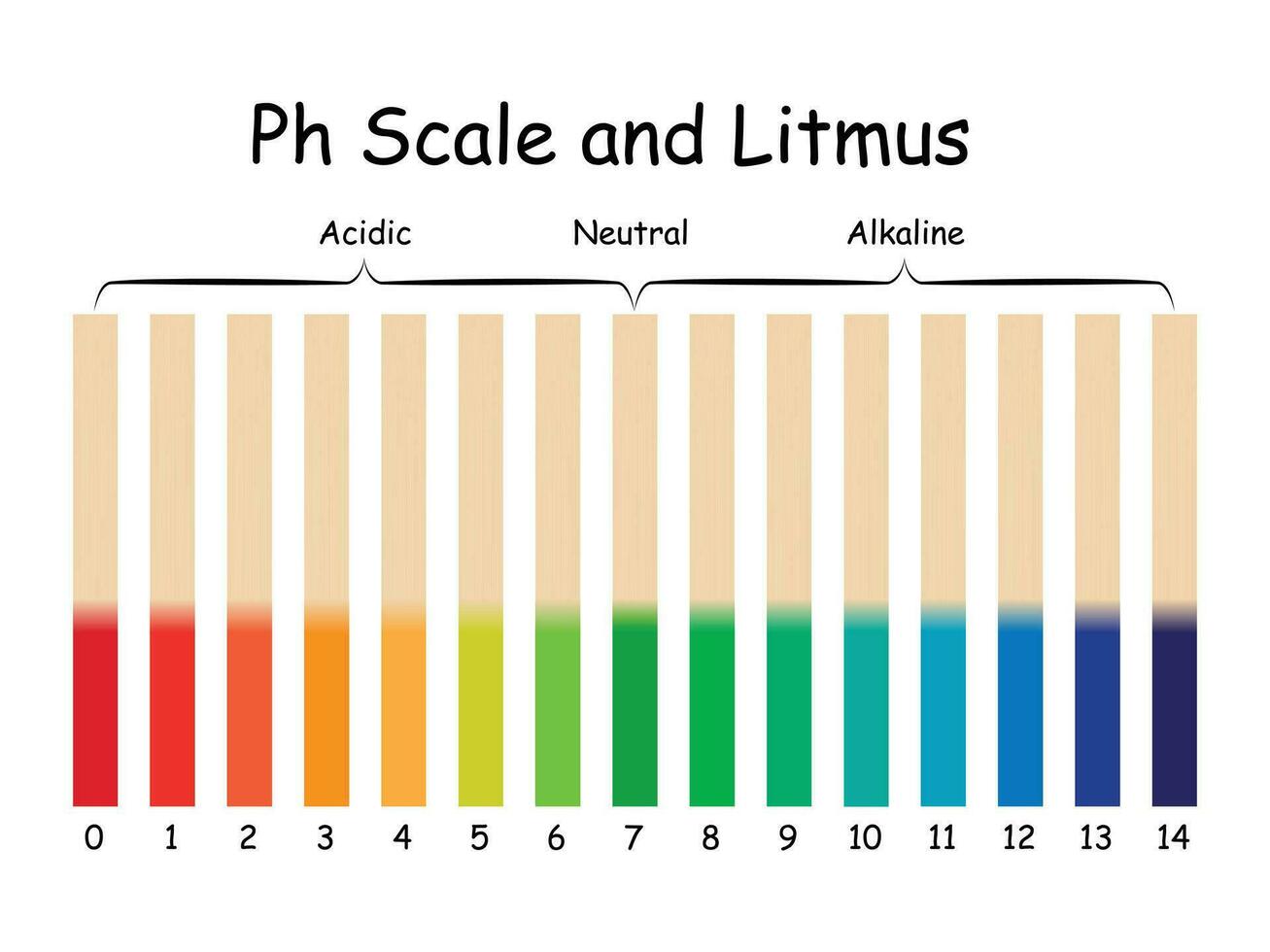 Ph Scale and Litmus Science Design Vector Illustration