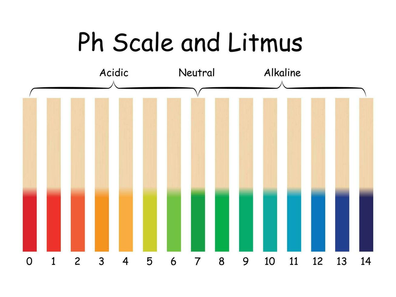 Ph Scale and Litmus Science Design Vector Illustration