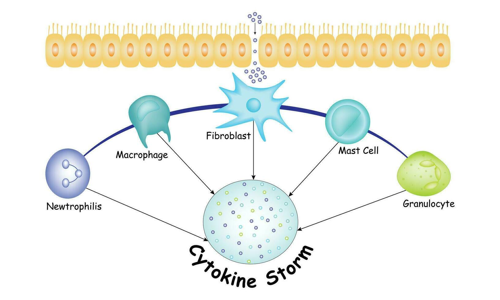Cytokine Storm Science Design Vector Illustration