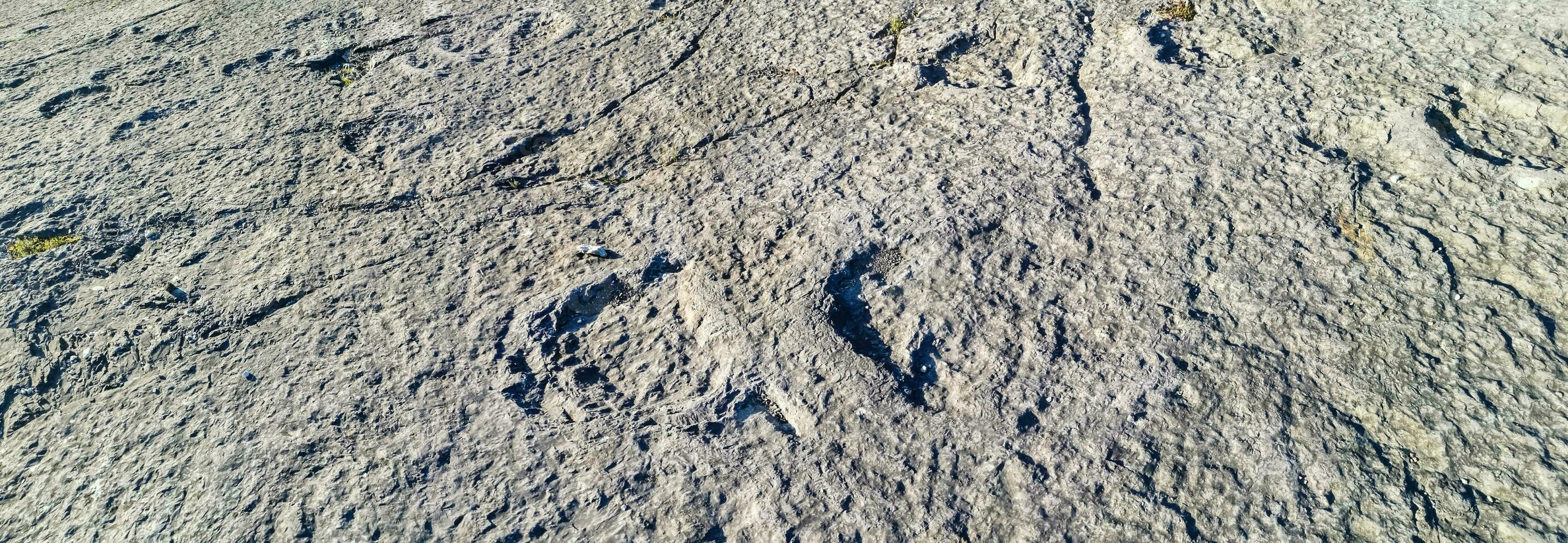 Natural monument of fossil dinosaur footprints in Serra D 'Aire in Pedreira do Galinha, in Portugal. A pedagogical circuit was created at the site, where visitors can see and touch the footprints photo