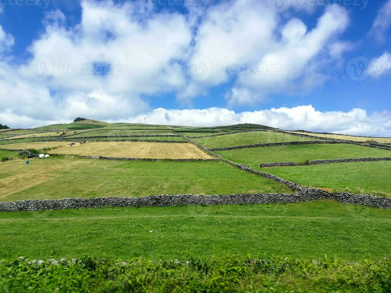 Typical landscape of the Azores archipelago in Portugal photo