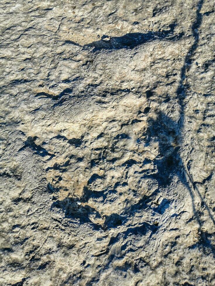 natural Monumento de fósil dinosaurio huellas en serra re 'aire en pedreira hacer galinha, en Portugal. un pedagógico circuito estaba creado a el sitio, dónde visitantes lata ver y toque el huellas foto
