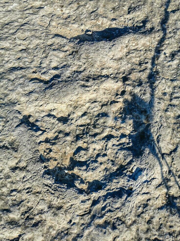Natural monument of fossil dinosaur footprints in Serra D 'Aire in Pedreira do Galinha, in Portugal. A pedagogical circuit was created at the site, where visitors can see and touch the footprints photo