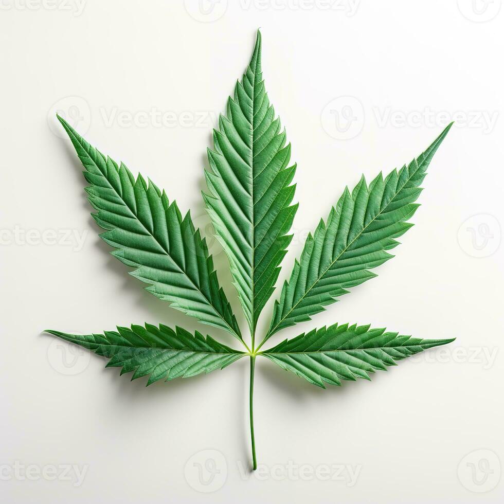 Cannabis leaf on a light background. Generative AI photo