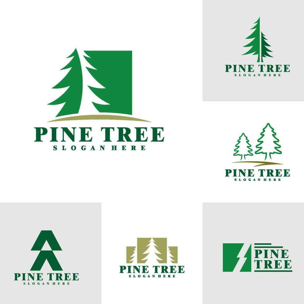 Set of Pine Tree logo design vector. Creative Pine logo concepts template vector