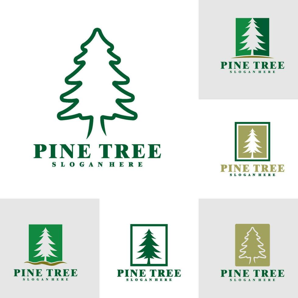 Set of Pine Tree logo design vector. Creative Pine logo concepts template vector