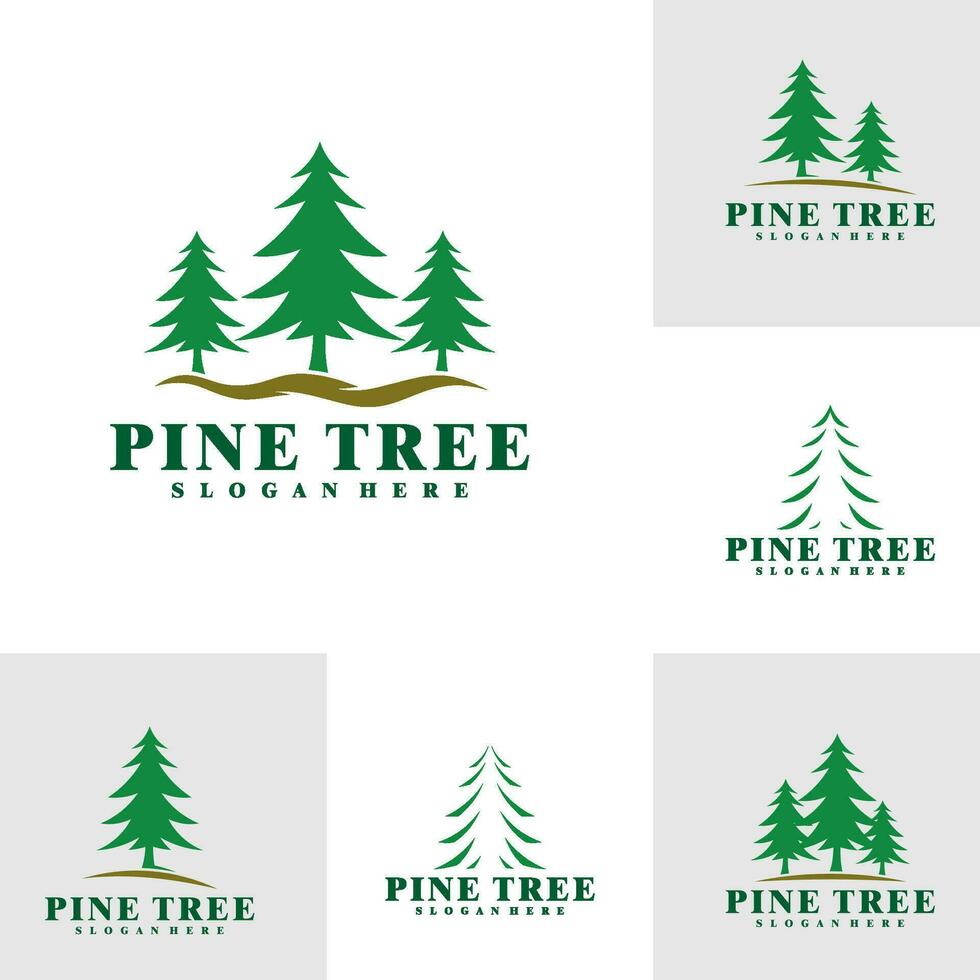 Set of Pine Tree logo design vector. Creative Pine logo concepts template vector