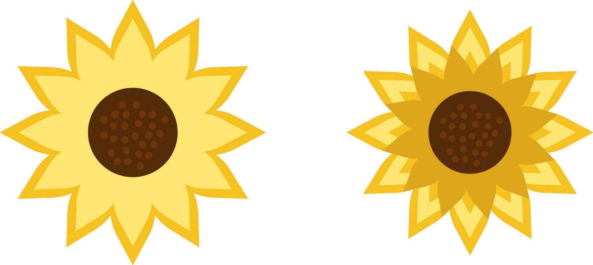 sun flower run vector