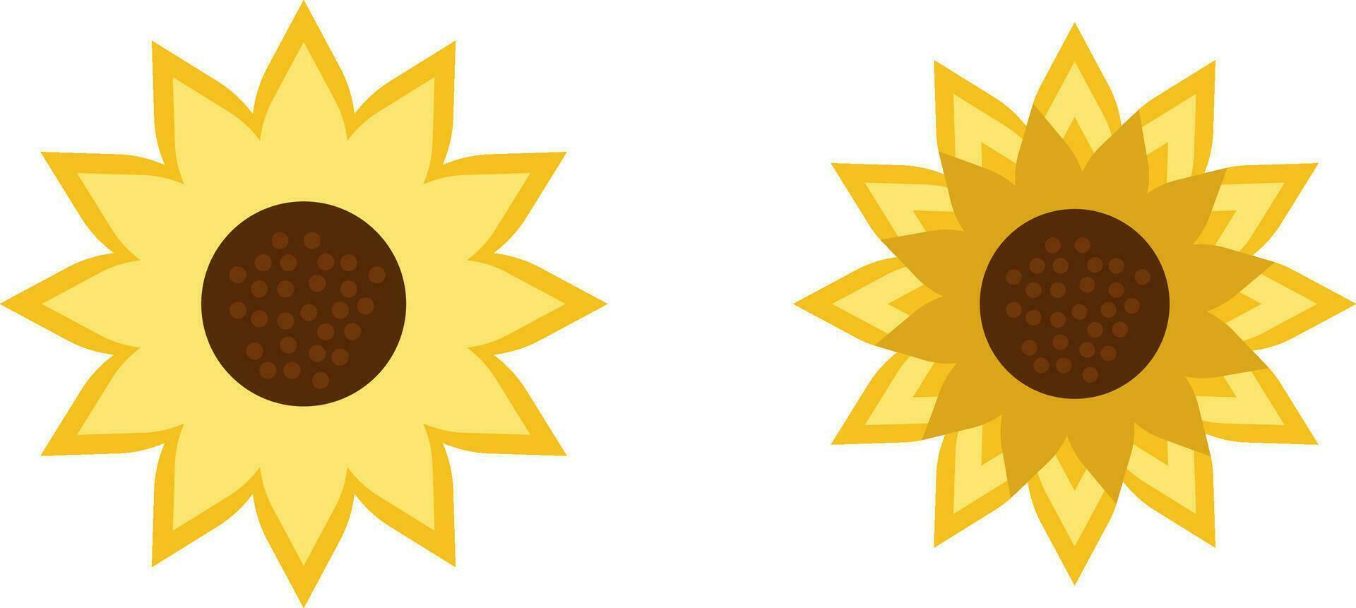 sun flower run vector