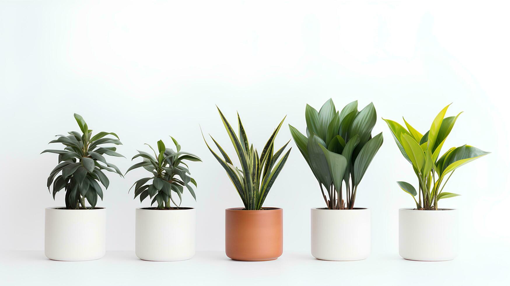 Indoor Studio Arrangement White Background Floral Design with Fresh Vegetables and Herbs. Create AI-Generated. photo