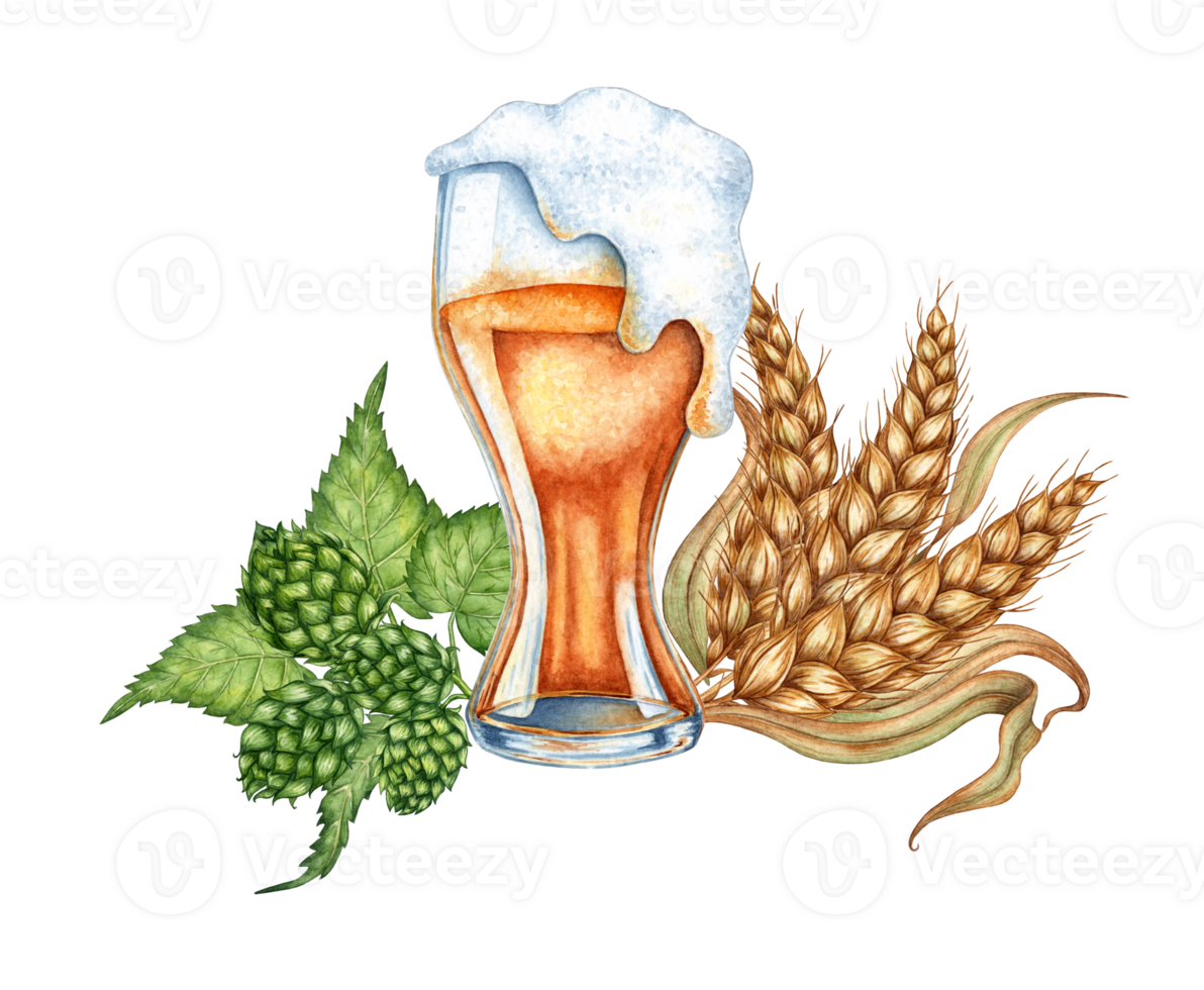 Watercolor illustration of beer with foam in a glass with hops and ears of wheat. Harvest festival, Oktoberfest beer festival. Compositions for posters, cards, banners, flyers, covers, playbills png
