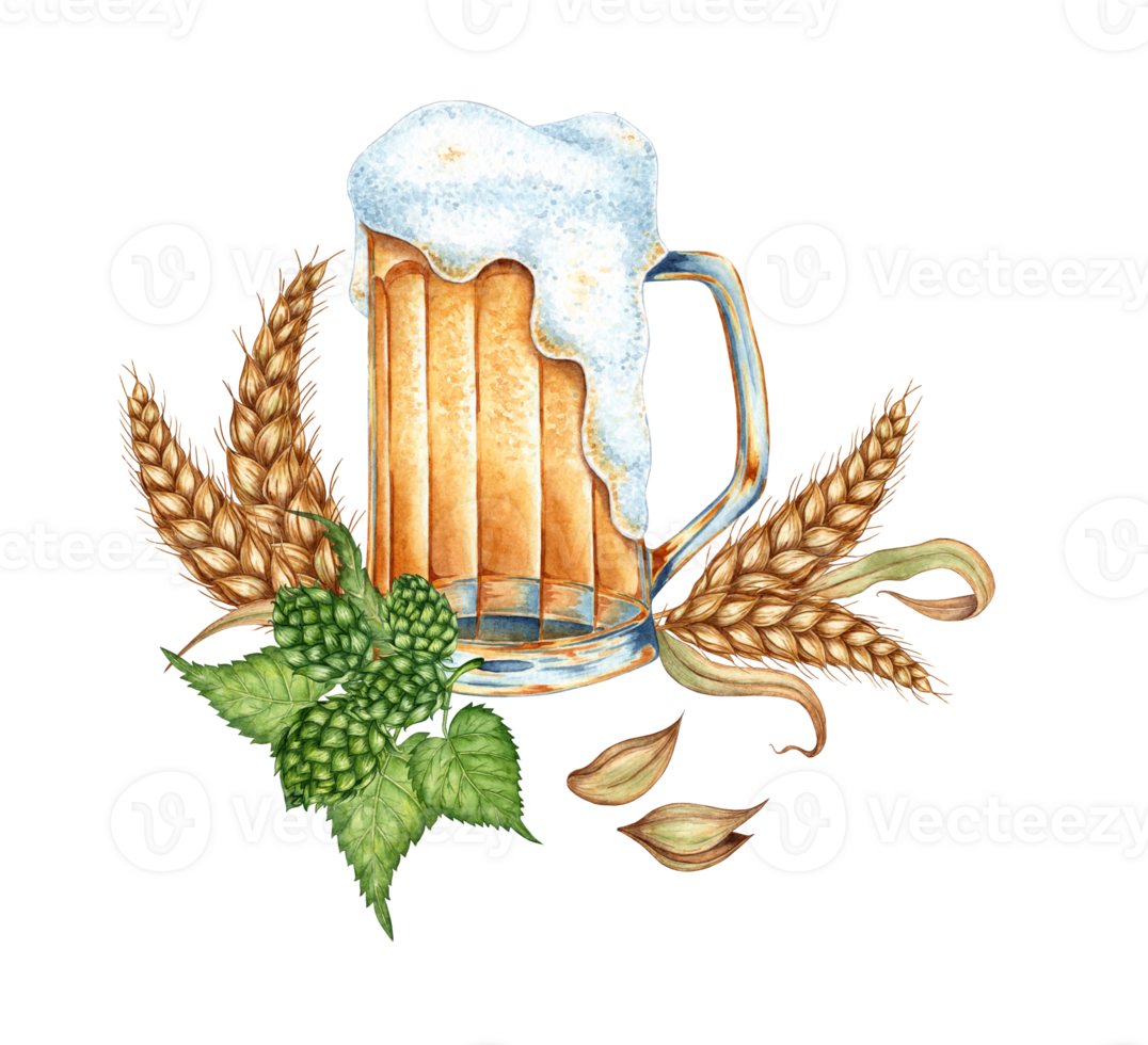 Watercolor illustration of beer with foam in a mug with hops, ears of wheat and grains. Harvest festival, Oktoberfest beer festival. Compositions for posters, cards, banners, flyers, covers, png