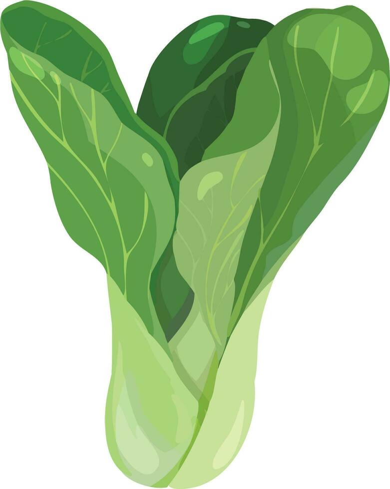 llevar a la fuerza bok Choi. asiático vegetal ilustración vector. vector