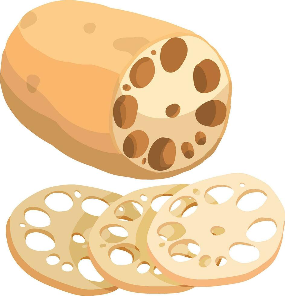 Lotus root. Asian Vegetable Illustration Vector. vector